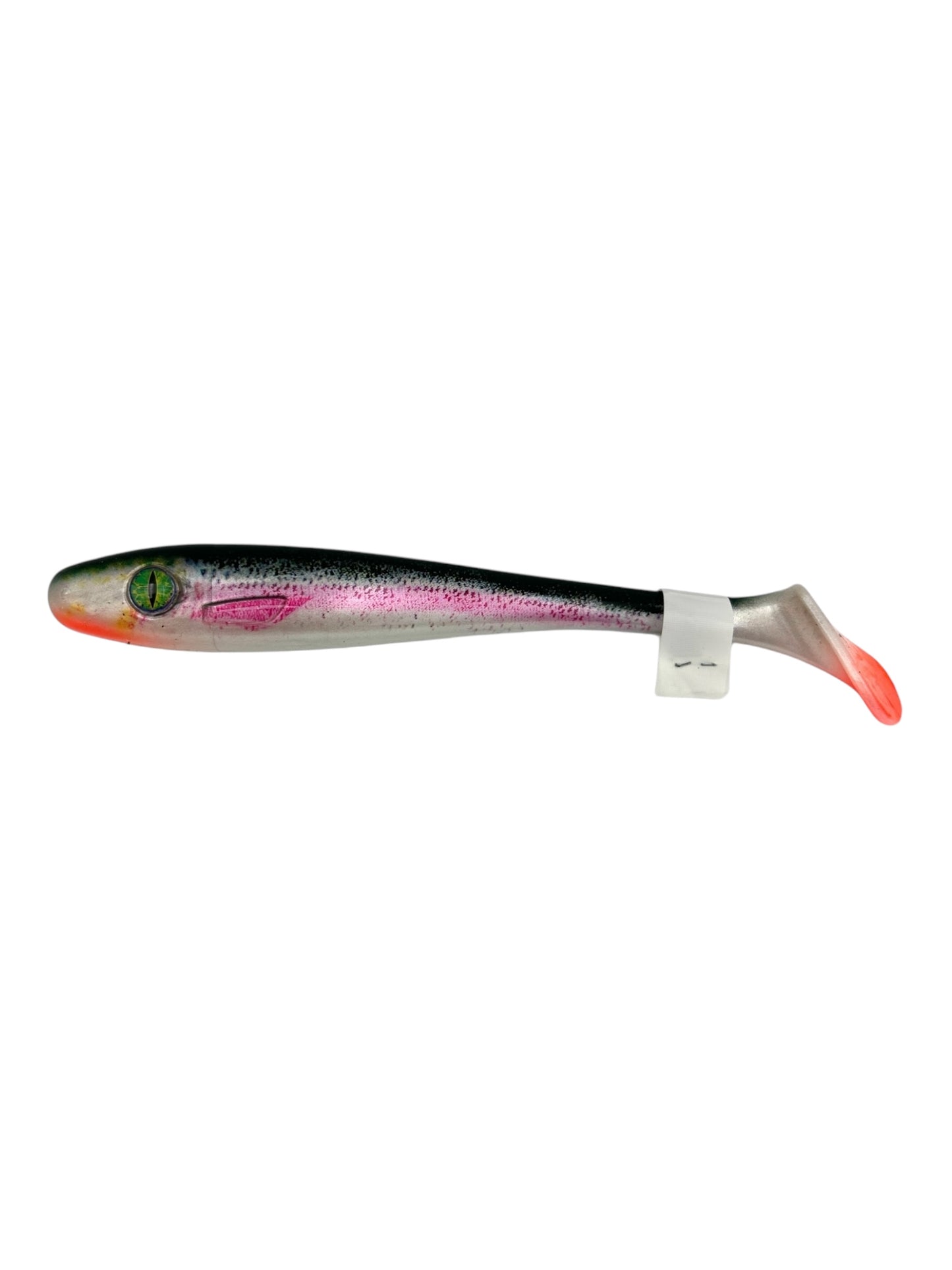 Pike Collector Shad