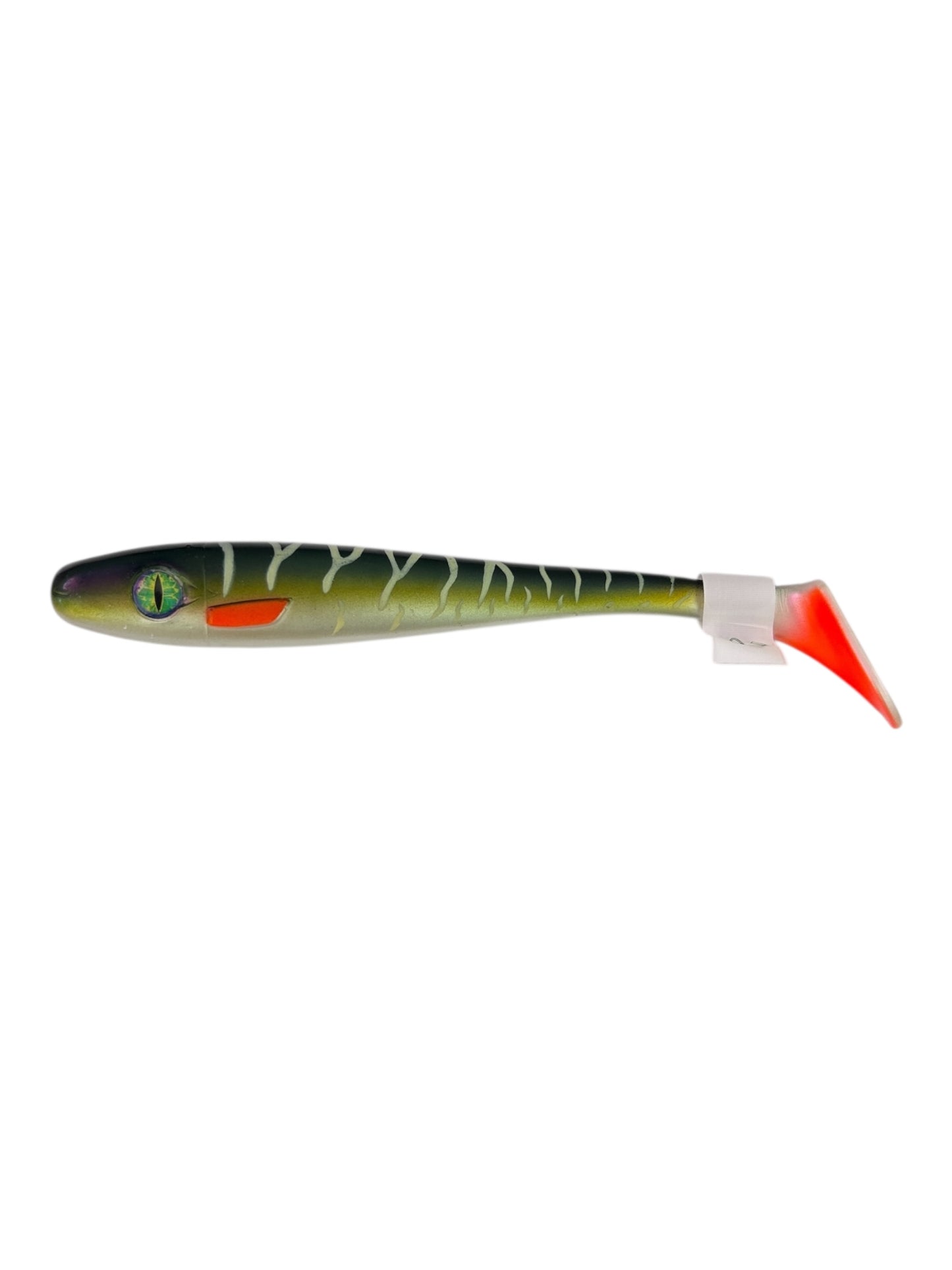 Pike Collector Shad