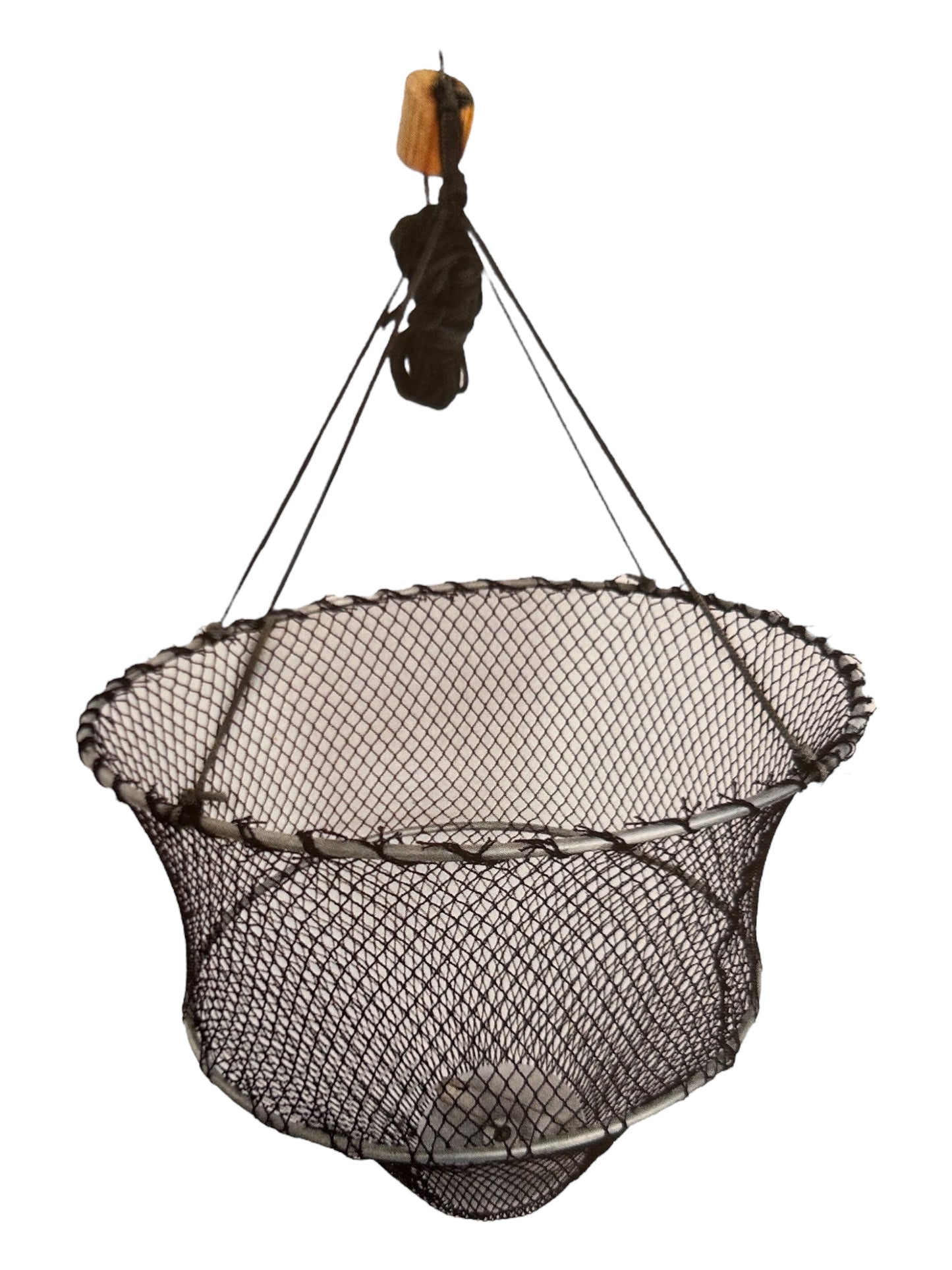Krebsteller